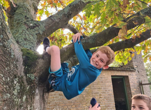 Billedet viser en dreng, der hænger fra et træ, som smiler og har det sjovt