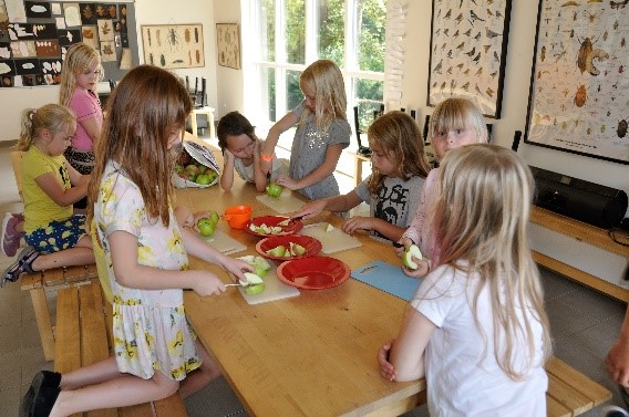 Billedet viser børn i SFO'en, der klargør eftermiddagens snacks af gulerødder og æbler